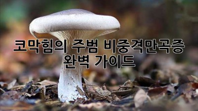 코막힘의 주범? 비중격만곡증 완벽 가이드