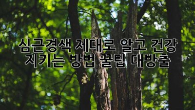 심근경색🚨 제대로 알고 건강 지키는 방법! 꿀팁 대방출🍯